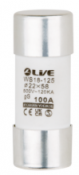 Liveelec HRC Fuse 100A 22x58mm