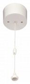 Click Essentials 10AX 2 Way Pull Cord Switch