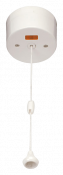 Click Essentials 16A DP Pull Cord Switch With Neon