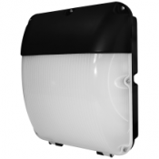 Eterna 30w LED Bulkhead Integrated