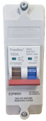 Fusebox 100A 2P MAIN SWITCH (ENCLOSED) IP20