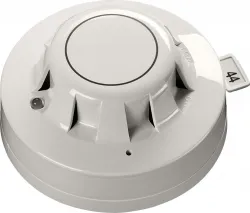 Detectors & Modules