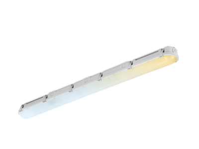 Aurora LinearPacCWS™ 4ft IK10 IP66 Anti-Corrosive