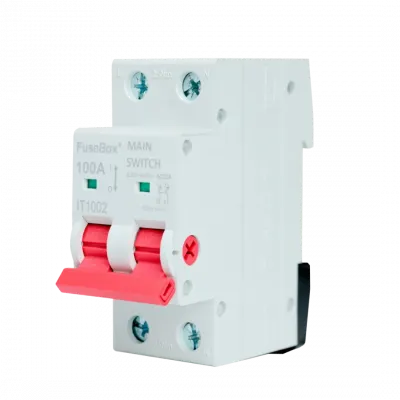 Fusebox 100A AC22A 2P MAIN SWITCH
