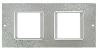 TASS 2 x 50mm Euro Module Plate