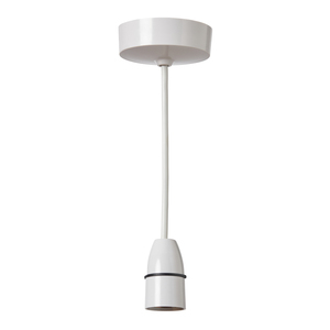 Forum Kinetic - Kinetic RF and Smart Wifi pendant kit B22