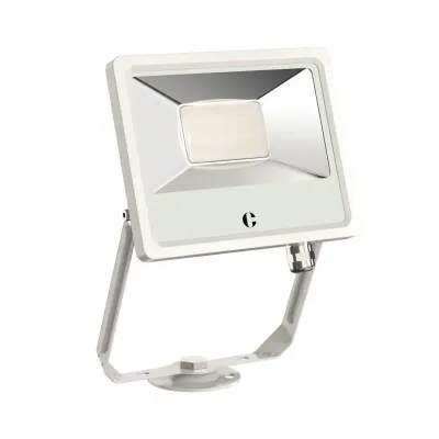 Collingwood White 30W Colour Switchable Floodlight, Standard